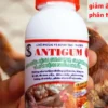 Men kháng thể Gumboro, Gumboro ghép cho gà: ANTIGUM