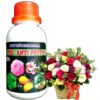 Thuốc trừ nấm ANTI PHYTOP: Phòng đốm lá, đen thân, thán thư