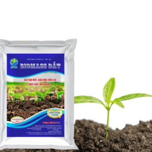 Chế phẩm vi sinh vật cải tạo đất - BIOMASS ĐẤT (200g)