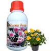 Thuốc dinh dưỡng cho cây cảnh và hoa cảnh