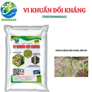 KHUẨN ĐỐI KHÁNG PSEUDOMONAS DÙNG CHO CÂY TRỒNG