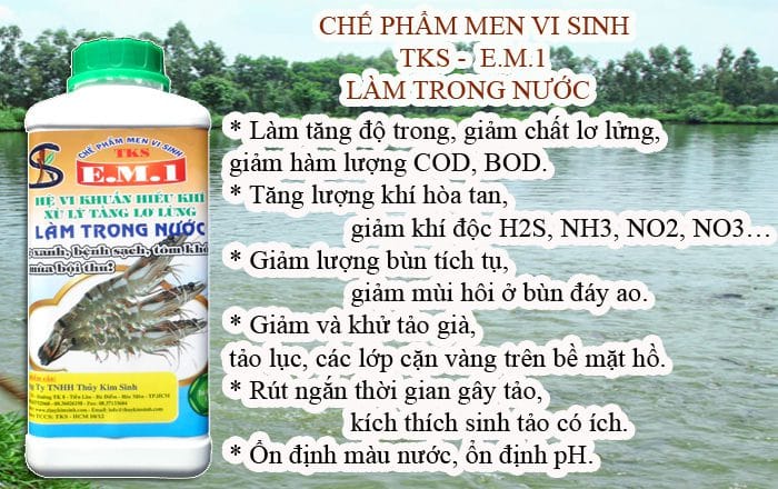 TKS E.M.1: Cách làm SẠCH NƯỚC bể cá, hồ cá, ao nuôi