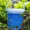 trichoderma nấm đối kháng