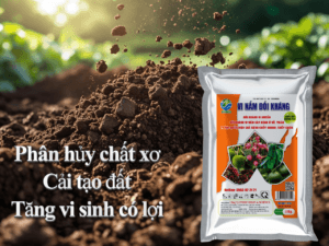 Nấm Trichoderma Ủ phân hữu cơ, rác thải nhà bếp (Gói 1kg) Vi Nấm Đối Kháng Trichoderma