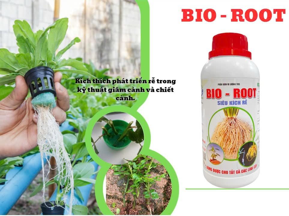 Bio Root: Kích rễ cực mạnh, phục hồi nhanh