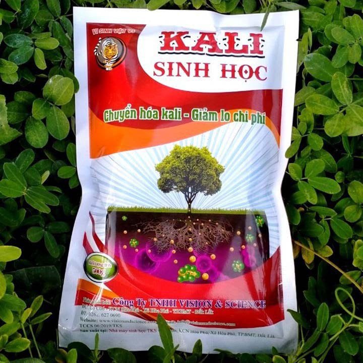 Kali Sinh Học: Cứng cây, chắc hạt, trái to, ngọt trái