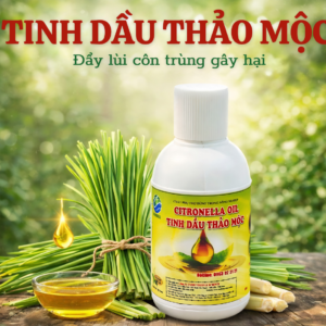 Tinh dầu thảo mộc 100ml- trừ sâu sinh học