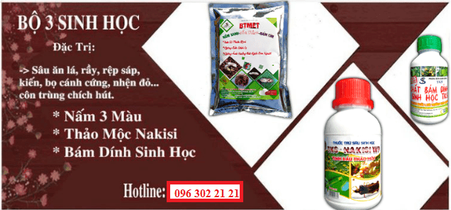 Combo thuốc trị rầy trắng, đen, rầy xanh,...bằng sinh học