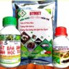 Combo thuốc trị rầy trắng, đen, rầy xanh,...bằng sinh học