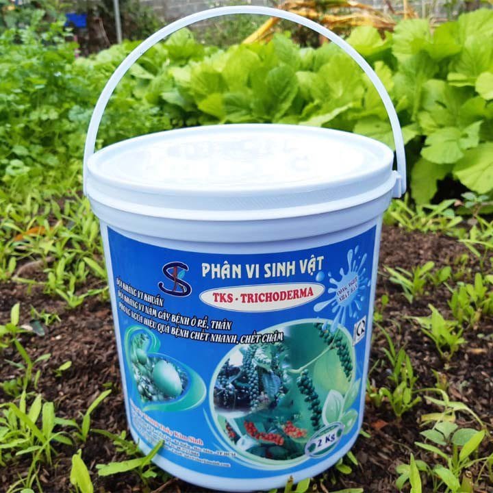 Nấm đối kháng Trichoderma