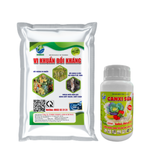 Combo thuốc đặc trị nứt thân xì mủ, vàng lá, thối rễ, héo xanh,...