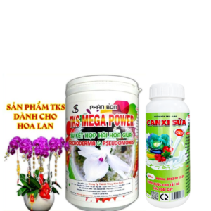 Thuốc diệt Nấm cho Lan chống cháy lá, thối nhũn,...