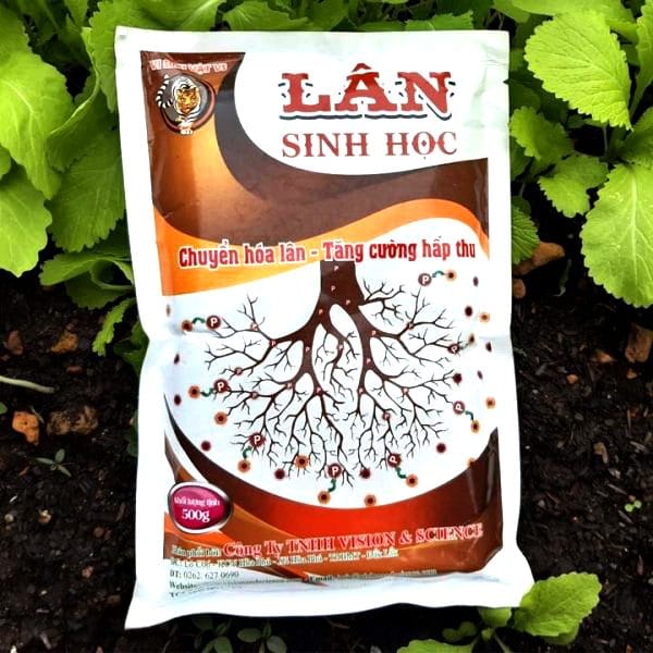 Lân Sinh Học: Giải phóng lân khó tan, nuôi rễ khỏe