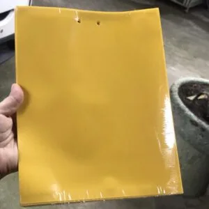 [20 Miếng] Miếng dán Ruồi Vàng, Ruồi Giấm: Cách bẫy Ruồi đơn giản