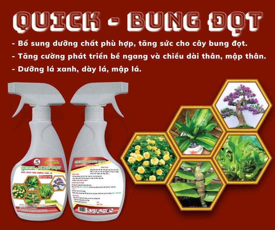 Quick - Bung Đọt, dưỡng xanh lá, dài lá dạng xịt pha sẵn