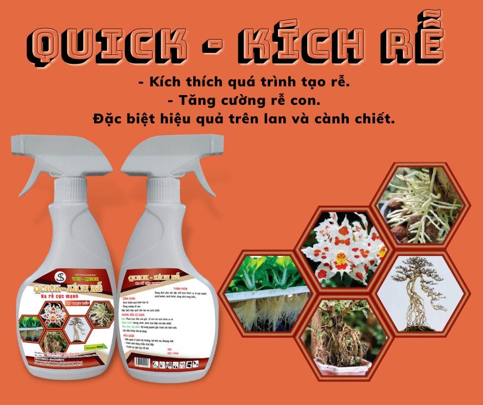 QUICK – Kích rễ cho lan, cây cảnh và cành chiết dạng xịt