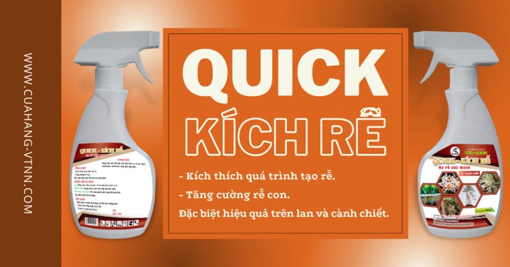 QUICK – Kích rễ cho lan, cây cảnh và cành chiết dạng xịt