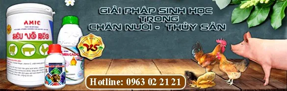 Trang Chủ chan nuoi