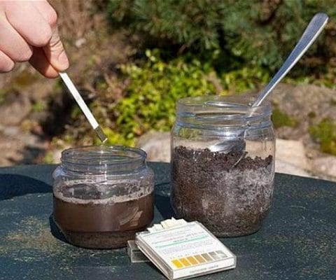 Máy đo PH đất 4 trong 1 chính xác nhất