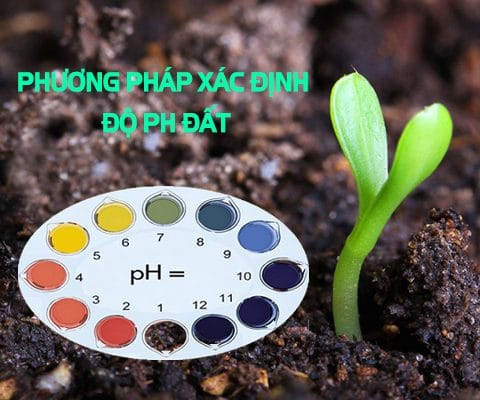Máy đo PH đất 4 trong 1 chính xác nhất