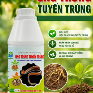 Thuốc đặc trị tuyến trùng - Ung Trứng Tuyến Trùng