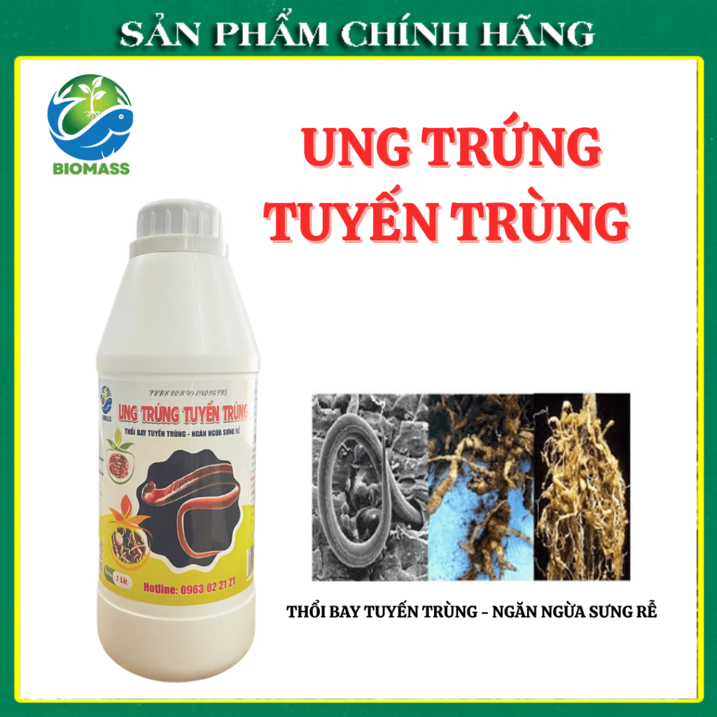  Thuốc đặc trị tuyến trùng - Ung Trứng Tuyến Trùng
