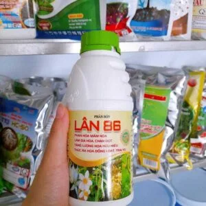 Trang Chủ Phân Bón Siêu Lân 86 - Siêu Lân Kích Rễ