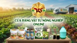 Trang Chủ cửa hàng vtnn online