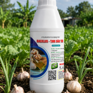 Chế phẩm trừ sâu sinh học: BIO BT Bacillus Tinh Dầu Tỏi